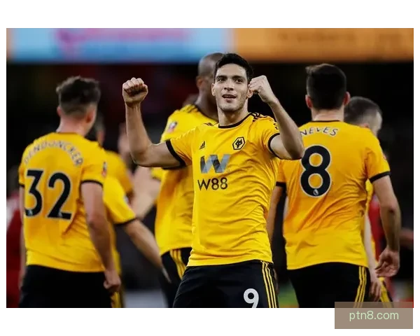 Here we go！狼队前锋拉尔森5000万英镑转会加盟水晶宫