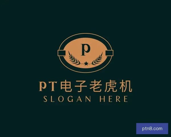 介绍PT电子老虎机